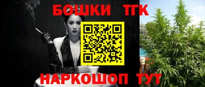 спиды Дубна