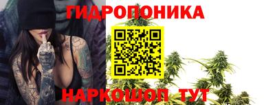 спиды Дубна
