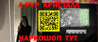 спиды Дубна