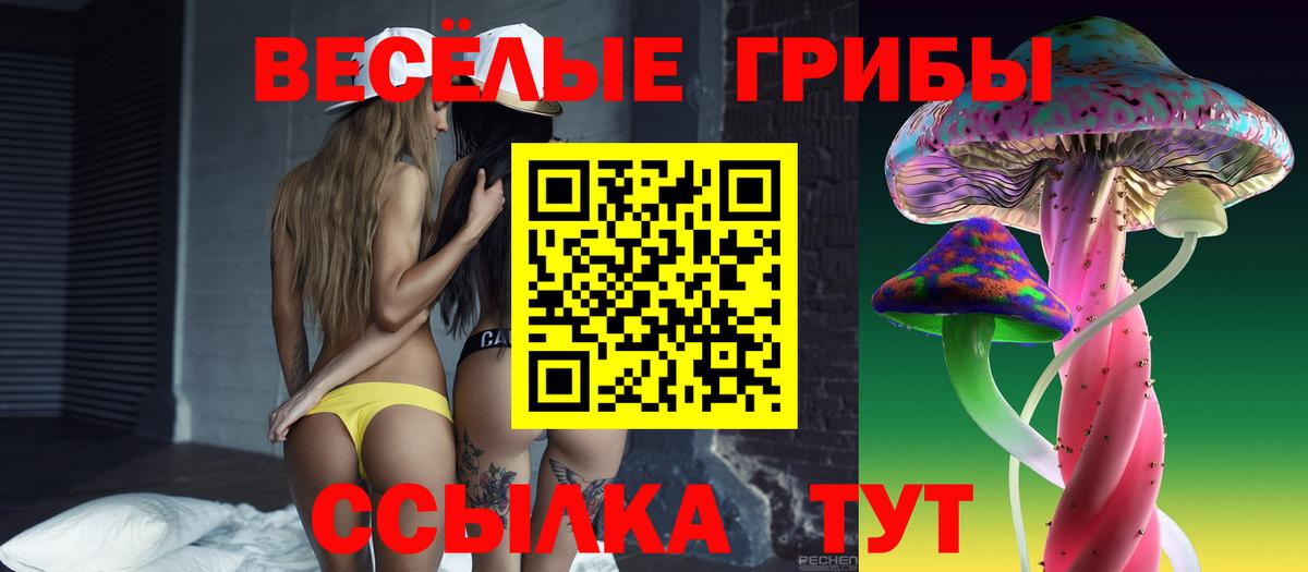 Псилоцибиновые грибы Psilocybine cubensis Каменка